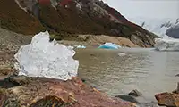 Hielo glaciar en la orilla de la Laguna Torre.