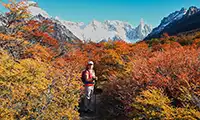 Sendero a Laguna Torre en otoño.